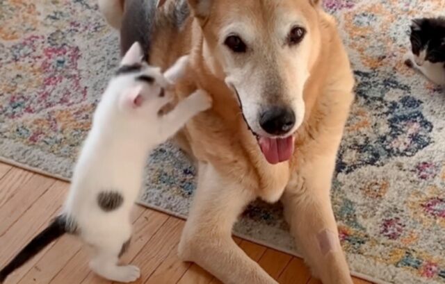 20230503_163354 (5)_batch