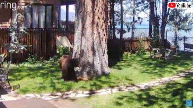 20231025_074702 (5)_batch
