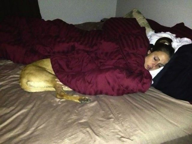 perfectly-timed-photos-dogs-2_e