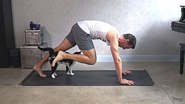 catyoga3