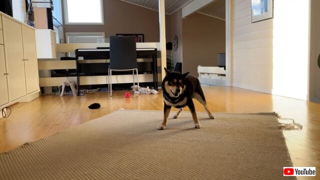 20220502_174001 (4)_batch