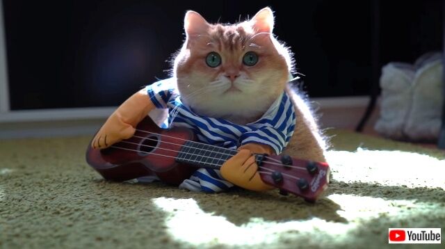 guitar4_640