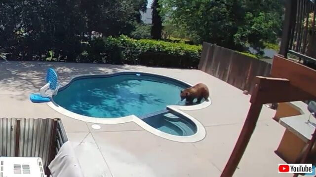 20220809_040442 (2)_batch