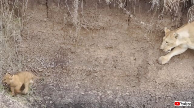 20230211_070040 (4)_batch