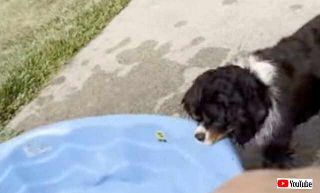 20230814_023245_batch