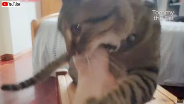 20240328_104811 (3)_batch