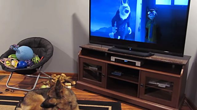 zootopia2