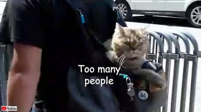 20230128_194141 (8)_batch