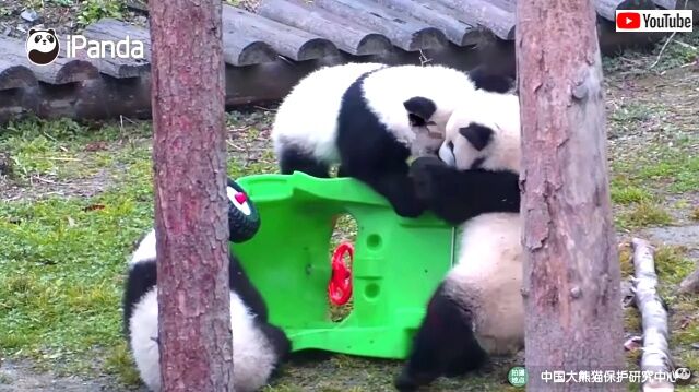 jdrivingpanda5_640