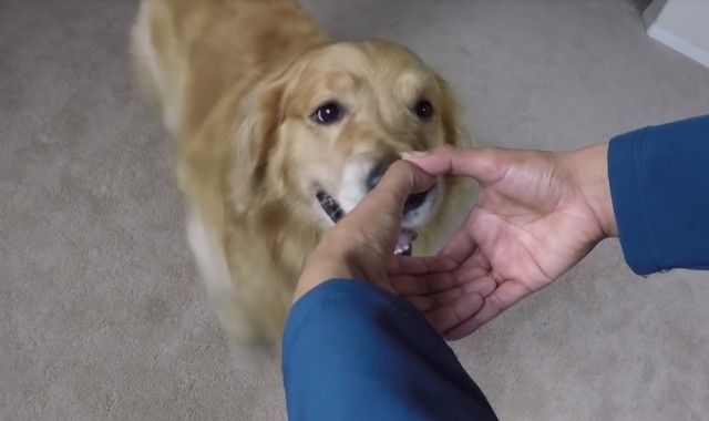 oshie1_e