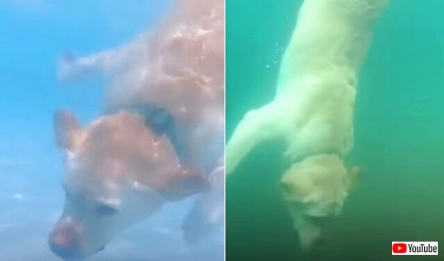 20220919_115050_batch