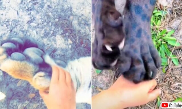 20240104_115108 (2)_batch