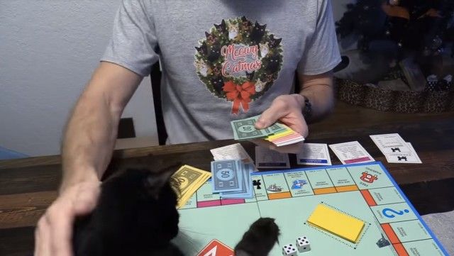 catshaming0_e