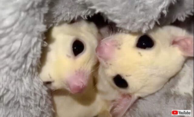 20230513_114229 (2)_batch