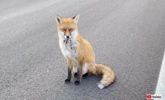 20231219_115445 (4)_batch