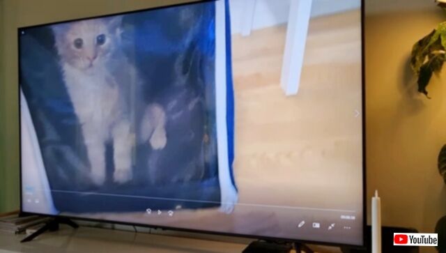 20231020_220532 (3)_batch