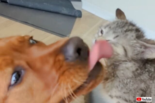 20230916_115538 (4)_batch