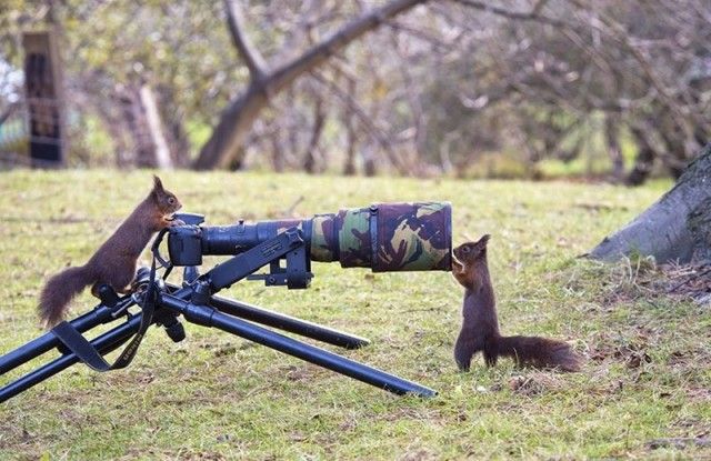 photographers13_e