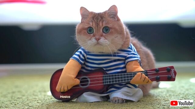 guitar1_640