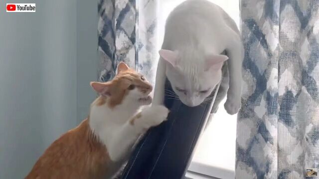 20221107_115900 (7)_batch