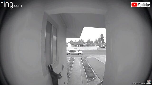 doorbell4_640