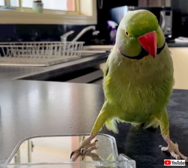 20230430_014832 (3)_batch