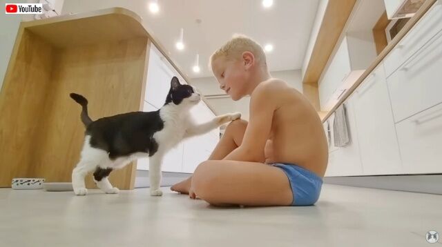 弟がもうすぐ6歳になるニャ！保護猫プーシクくん、大きくなった弟くんにすりすりスキンシップ大爆発