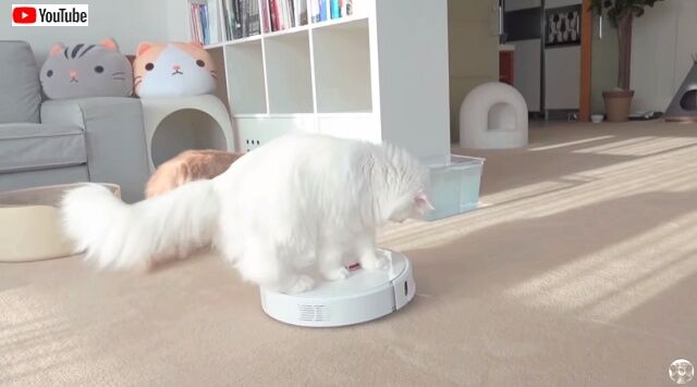 robotvacuum6_640