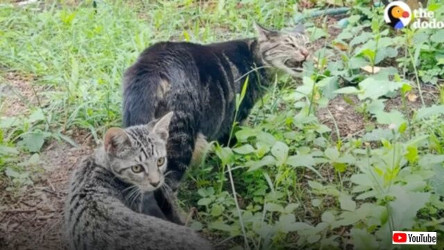 20240108_115921 (8)_batch