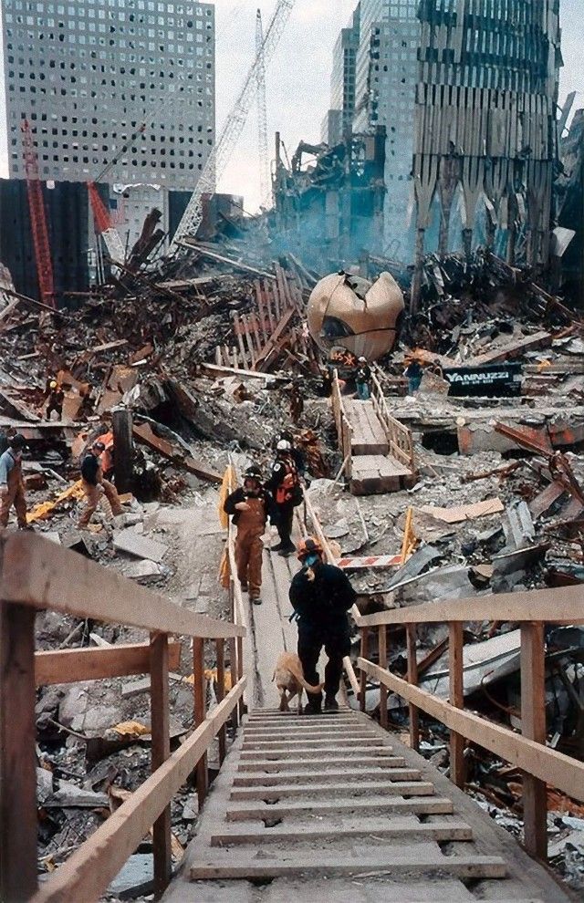 911dogs14_e