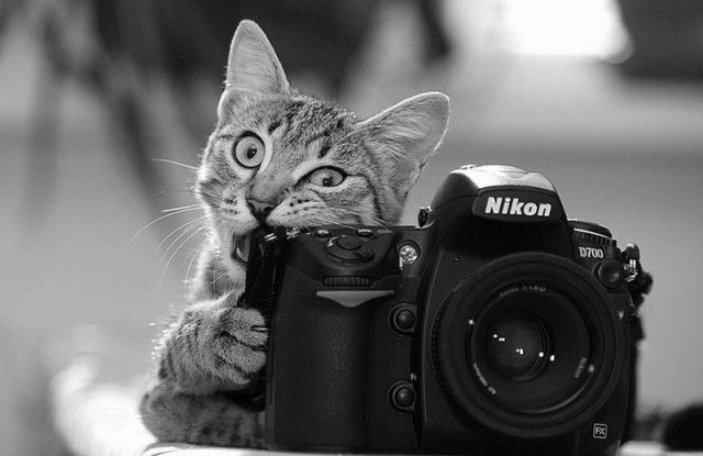 photographers17_e