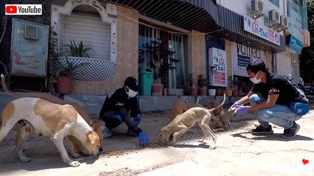 feedinganimals4_640