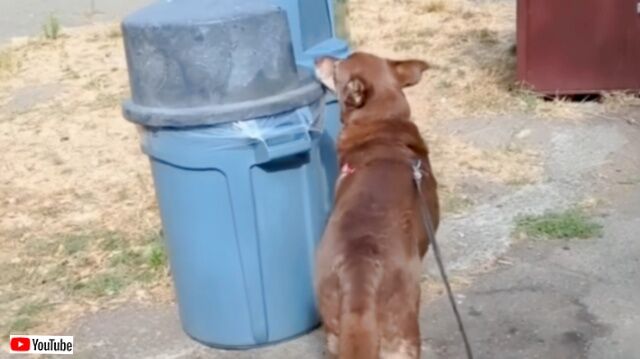 20231104_184656 (3)_batch