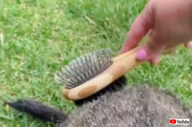 20230901_194703 (7)_batch