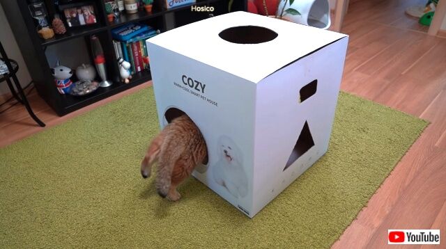 cozybox2_640