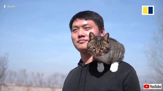 ビックリ賢い元野良猫がみごとな芸を披露！中国の元兵士が愛猫をトレーニングしてみた結果