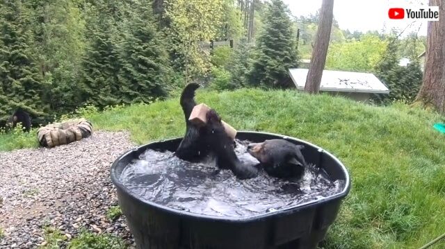 splashybath3_640