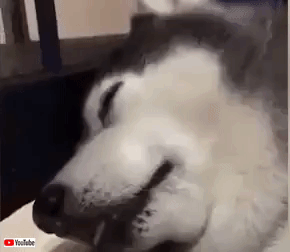 cutebabiiesvids6