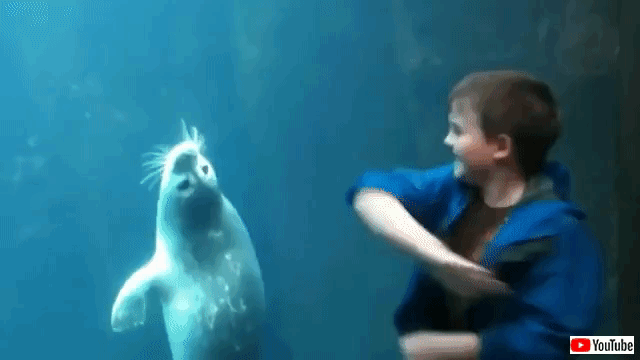 aquarium