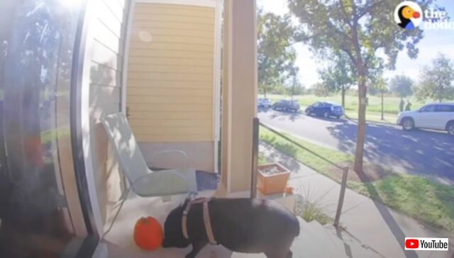 20231107_192708_batch