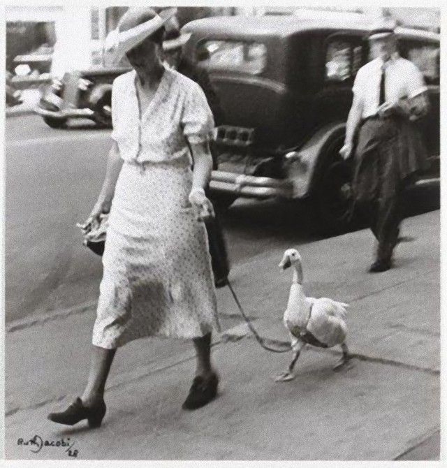 vintagephoto20_e