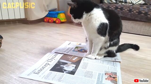newspaper0_640