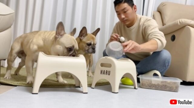 20240115_194353 (5)_batch