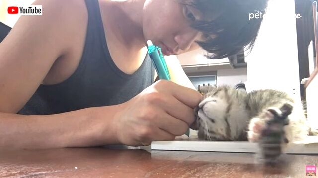 bestpets201912_6_640