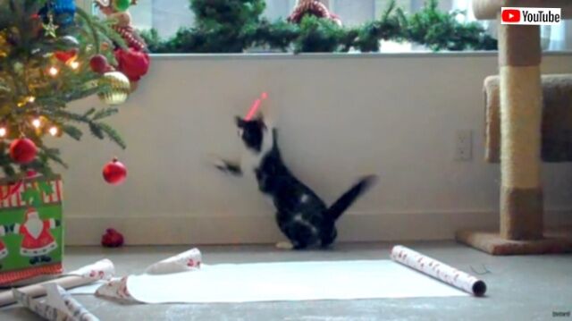 20231225_174019 (2)_batch
