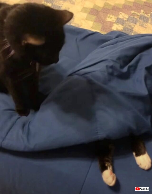 20231018_061445 (5)_batch