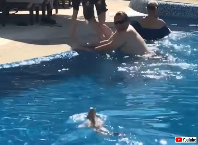 ibuanainpool2_640