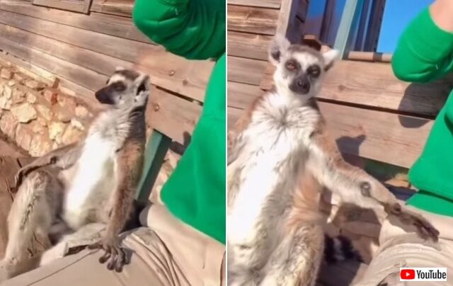 20220405_074728_batch