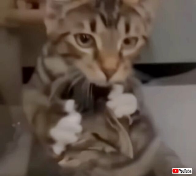 20230920_034812 (6)_batch