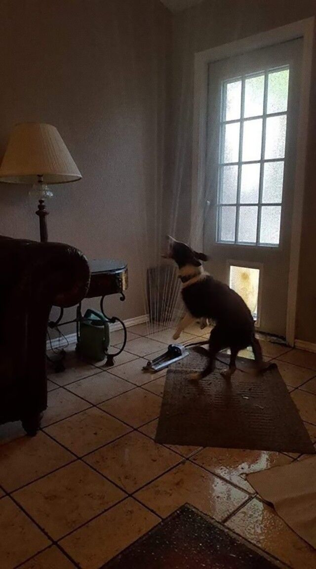 eu4l8jm5txa11_e